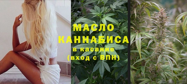 дмт Алексин