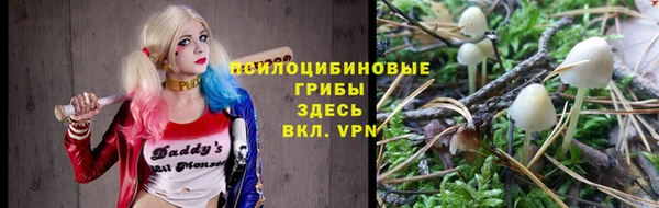 дмт Алексин