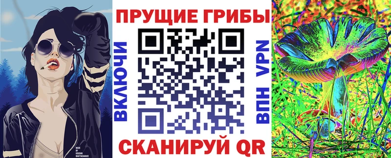 Псилоцибиновые грибы Psilocybine cubensis Куровское