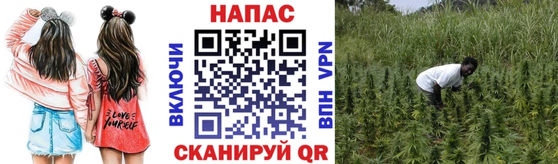 shop наркотические препараты  даркнет сайт  Куровское  МАРИХУАНА White Widow 